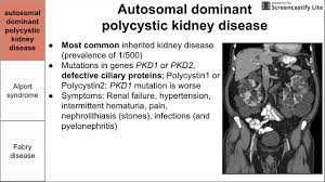 Genetic Disorders Of The Kidney Youtube