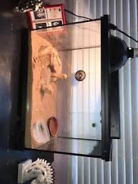 Entdecken sie unsere tanks aus stabilem kunststoff zur speicherung ihres wassers. 20 Gallon Reptile Tank 24x16 75x12 Local Pickup Only Ebay