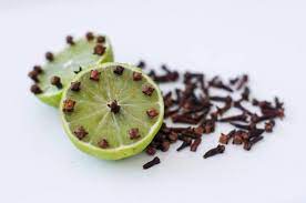 Lalat sejenis serangga yang merimaskan jika terdapat di dalam rumah. Dua Cara Semula Jadi Halau Lalat