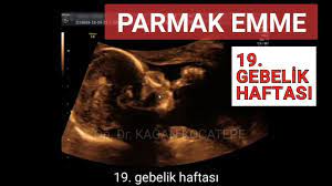 19 gebelik haftasinda yaklasik 4 5 aylik anne karninda parmak emme agzi acma ve dil cikarma hareketi youtube