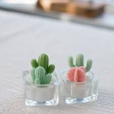 Cactus Tealight Candle From Apollo Box Cactus Candles Tea Light Candles Cactus Decor