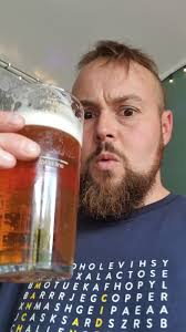 Peak Organic Brewing Company pale ale review