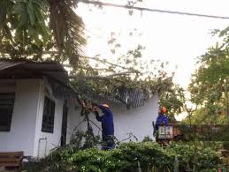 It is located on the southeast of kedah, bordering penang. 14 Rumah Rosak Ribut Di Kulim