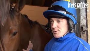 Beyond the Bit: Bridleless Show Jumping with Brendan Wise by Relyne GI