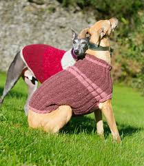 Maybe you would like to learn more about one of these? Hd Wallpaper Whippet Dog Jacket Jumper Vest Blue Sitting Knitted Wallpaper Flare