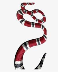 Hd Snake Gucci Wallpaper For Iphone Transparent Png Gucci White Snake Iphone Xs Max Case Png Download Kindpng #hypebeast #wallpaper #allezlesbleus #iphone #android #background #오웬 샌디. gucci white snake iphone xs max case