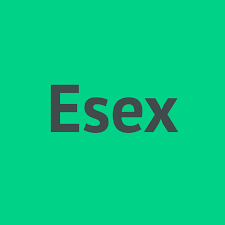 esex - npm Package Health Analysis | Snyk