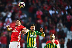 Pk von benfica mit andreas samaris und rui vitória. Newcastle Hold Talks With Benfica Over Andreas Samaris But Rafa Benitez Will Have To Shell Out 17 5m To Land Greek Midfielder