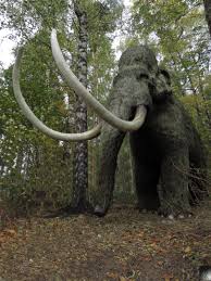 Mammut men kento hoodedhardshell jacket. Mammut Foto Bild Tiere Wildlife Wildlife Sonstige Tiere Bilder Auf Fotocommunity