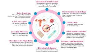 How To Get Pregnant Fast (10 Tips For Faster Conception) - Momlovesbest