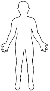 Maybe you would like to learn more about one of these? Human Body Outline Diagram Novocom Top