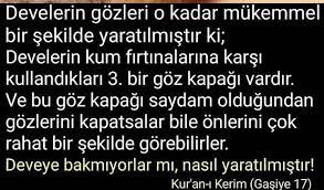 Iyigeceler Carsamba Iftar Ramazan Ramazan Instagram Iyi Geceler