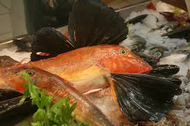 Maybe you would like to learn more about one of these? Gallinella Di Mare Un Pesce Molto Saporito E Gustoso Pesce Fresco Prato