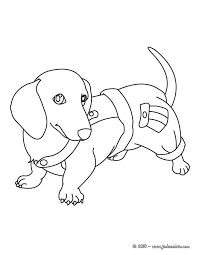 coloriage d un joli petit teckel dessin tres mignon qui plaira a vos enfants dog coloring page puppy pages drawing for kids de aquarium
