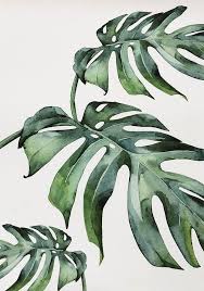 Beautiful Tropical Leaves Watercolor House Plants Posters Fine Art Canvas Prints Nordic Style Interior Decoration For Modern Kitchen Living Rooms Fine Arts Posters Painted Leaves Canvas Art Prints