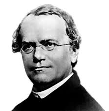 150 years Gregor Mendel