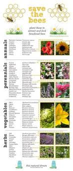 Bees work hard all summer to ensure they'll have enough honey to sustain the hive through the winter. 20 Flowers For Honey Bees Ideas Bee Garden Pollination Pollinator Garden