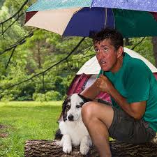 Also known as hammock rain fly tent tarp, the best choice products bug net has a shipping weight of 2.1 pounds. Best Hammock Tarp For Backpacking Buyers Guide Review