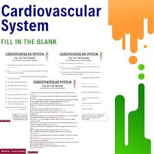 Image result for Cardiovascular Worksheets