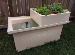 Growing lettuce using aquaponics is easy as they require little maintenance or nutrients to reach their full glory, making them a great plant to start with. What Is Aquaponics All You Need To Know Smart Garden Guide