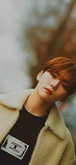 Seventeen boo seung kwan photo star coated poster painting home room decor wallpapers . Boo Seungkwan Wallpapers Top Free Boo Seungkwan Backgrounds Wallpaperaccess
