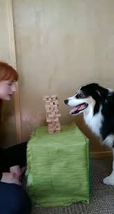 Ich Und Geheim Die Jenga Spielen Mignon Die Geheim Ich Jenga Mignon Spielen Animaux Droles Animaux Les Plus Mignons Bebes Animaux Mignons