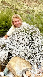 Image result for Jamesbrittenia