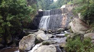 Check spelling or type a new query. Los Dinamos Alcaldia La Magdalena Contreras