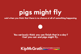 We did not find results for: You Re The Apple Of My Eye She Said And I Was Like Huh Know Your Idioms Flashcards Part 4 Kip Mcgrath Singapore Online