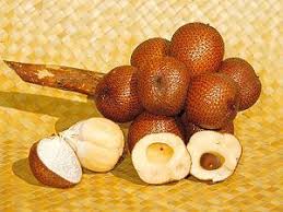 Fruit De Salak Fruits Exotiques Fruits Tropicaux Et Fruits Et Legumes
