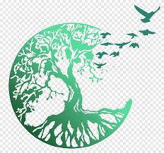 Ainsi, les branches, ramifications et racines. Arbre De Vie Arbres Sacres Celtiques Arbre Png Pngegg