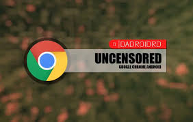 Untuk mereka yang tidak akrab dengan istilah, kami mengacu pada virtual private network yang meningkatkan perlindungan. Cara Buka Situs Web Yang Diblokir Dengan Google Chrome Android Tanpa Vpn Dadroidrd