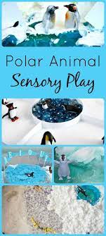 Learning About Polar Animals Through Sensory Play Polar Animals Winter Activities For Kids Sensory Play