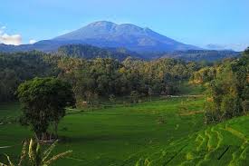 17 best images about pemandanggan on pinterest search sumber : 4 Wisata Di Jabar Dengan Pemandangan Gunung Yang Indah Halaman All Kompas Com