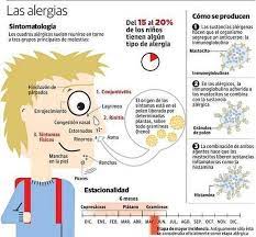 El Polen De Cipres Inaugura La Temporada De Alergias Alergias Consejos Para La Salud Enfermedades Respiratorias