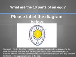 Insect anatomy insects have three body parts, six legs, two antennae, and compounds eyes. 33 Label Egg Parts Labels Design Ideas 2020