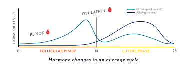 76 Efficient Period Cycle