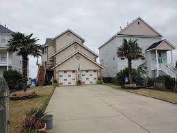 They grow in hot climates. Palms Around Virginia Beach Discussing Palm Trees Worldwide Palmtalk