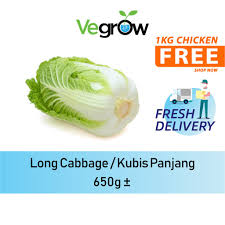 Check spelling or type a new query. Buy Fresh Long Cabbage Kubis Panjang 650g Seetracker Malaysia