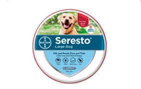 Prevent and treat your cat for fleas with a special flea collar for cats. The Best Flea Collars For Dogs Reviewed In 2021 My Pet Needs That