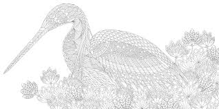 Best millie marotta coloring book from millie marotta s tropical wonderland pavilion books from. Pin On Millie Marotta