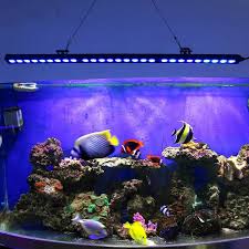 Toplanet Led Aquarium Light Bar 33 Inch Aquarium Light Strip Blue Spectrum For Coral Reef And Fish Fre Led Aquarium Lighting Fish Tank Lights Aquarium Lighting