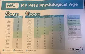Any cat that is 15 or older is considered geriatric and should be visiting the veterinarian at least once every six months. What S Your Pet S Psychological Age Animal Clinic Of Woodruff Spartanburg Sc