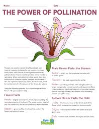 Some reproduce from buds that form on the plant and then drop off and grow as separate plant. Honey Bee Worksheet