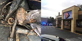 Grammarly keeps security at the heart of our product, infrastructure, and company operations. Florida Man Finds Grenade Takes It To Taco Bell Before Calling Police