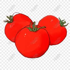 Kualitas buah tomat milik mitra gdm terbilang sangat segar dan sehat, hal inilah yang menjadikan penggunaan pupuk organik lebih meningkatkan kualitas buah tomat yang memiliki daya jual bagus. Koleksi 68 Gambar Animasi Buah Tomat Hd Gratis Gambar Animasi