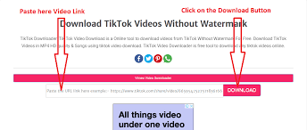 As more people look for ways to keep themselves entertained amid the co. Tiktok Video Download Download Tiktok Videos Without Watermark