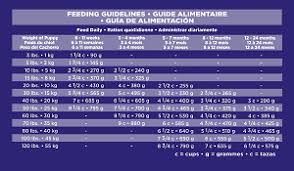 English Mastiff Feeding Chart Goldenacresdogs Com