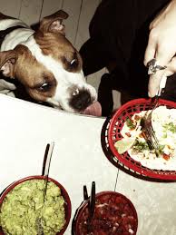 Maybe you would like to learn more about one of these? Sa Gor Du Den Ultimata Taco Middagen Jonas Cramby