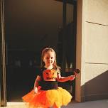 Pumpkin Palooza! — Hahn's Gymnastics